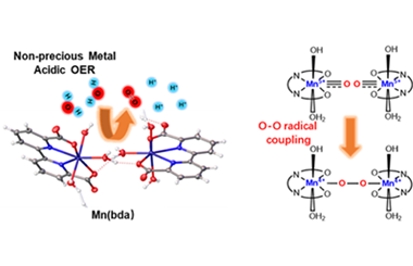 Mechanistic insights into acidic water oxidation by Mn(2,2′-bipyridine-6,6′-dicarboxylate)-based hydrogen-bonded organic frameworks 2025.100535